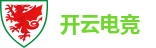 开云电竞